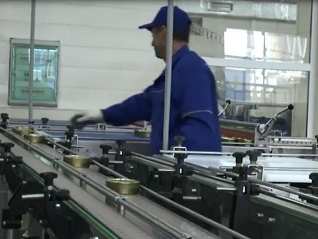 Транспортер пластинчатый (Универсальный) в Борисовке